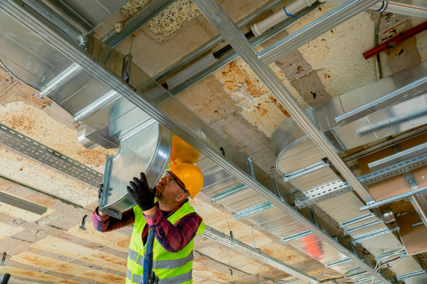 Best HVAC Air Duct Cleaning  in Palmview South, TX